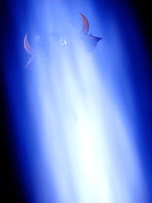 【phloxcc】离幻真玄录01-05_00541