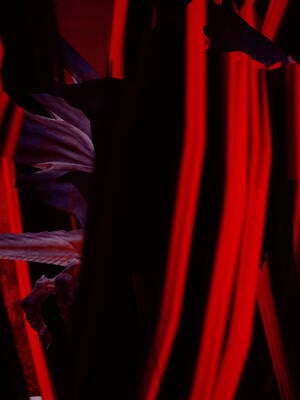 【phloxcc】离幻真玄录01-05_00568