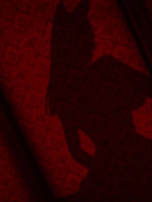 【phloxcc】离幻真玄录01-05_00608