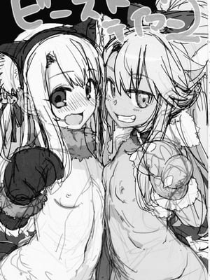 (C106) [IRON GRIMOIRE (SAKULA)] ビーストテイマー2 (Fate／Grand Order)_03