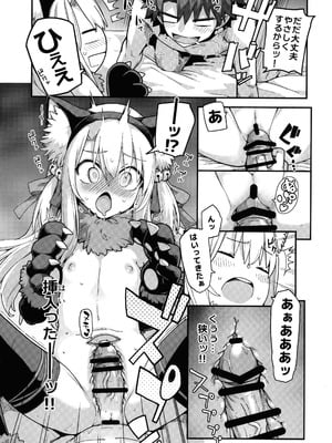 (C106) [IRON GRIMOIRE (SAKULA)] ビーストテイマー2 (Fate／Grand Order)_10