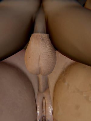 【Jayep】妖女大陆01_218