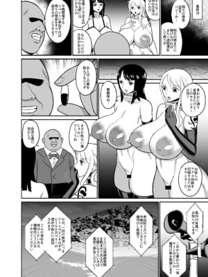 [REM9 (ハミルタン)] 一億ベリー稼ぐまで出られない風俗島 (ワンピース) [DL版]_28