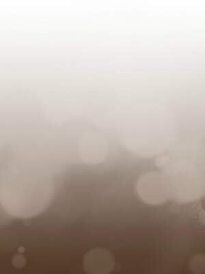 一份合約追回妳 54-55話_55_06_dimd