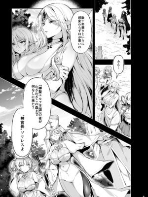 [にのこや (にの子)] エルフに淫紋を付ける本 LEVEL：9_03