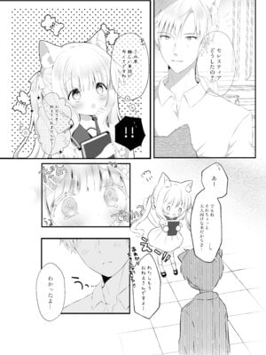 [カルヴァドスおかわり] ぴゅあぴゅあなブラコン妹といちゃいちゃする本_04