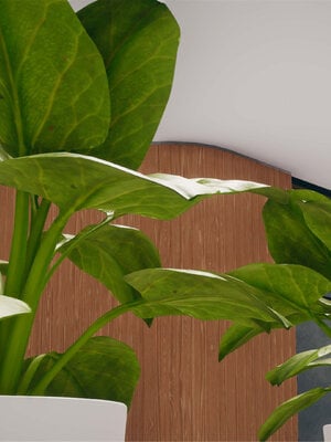 [糖果的骑士]催眠淫纹系统5.2_020