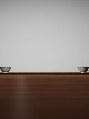 [绅士皇帝刘子业]校妓 11_043