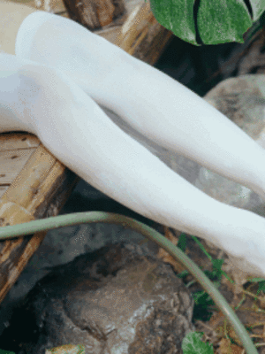 蠢沫沫 – 夏2_293