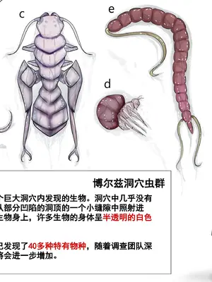 [Gura Craft]蟲研究レポート_ Character profile No.01-29[中国翻訳][疏碼]_022