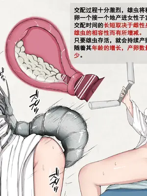 [Gura Craft]蟲研究レポート_ Character profile No.01-29[中国翻訳][疏碼]_097