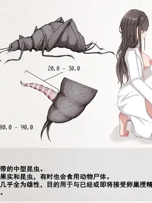 [Gura Craft]蟲研究レポート_ Character profile No.01-29[中国翻訳][疏碼]_107