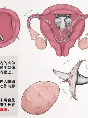 [Gura Craft]蟲研究レポート_ Character profile No.01-29[中国翻訳][疏碼]_114