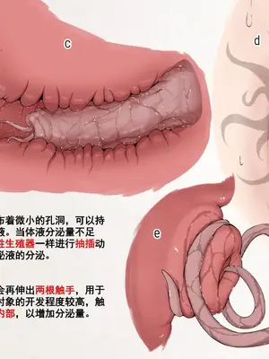 [Gura Craft]蟲研究レポート_ Character profile No.01-29[中国翻訳][疏碼]_118