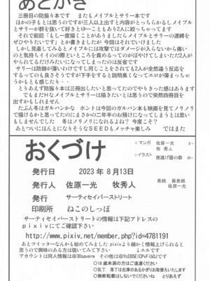 (C102) [サーティセイバーストリート (佐原一光、牧秀人、夜逃げ屋の恭)] 痛いのはイヤらしいので3 (痛いのは嫌なので防御力に極振りしたいと思います。) [中国翻訳]_21