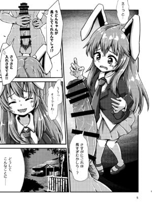 [ヒッツッツ (ひっつ)] 幻想郷エロ能力化異変12 人間を興奮させる程度の能力 (東方Project)_05