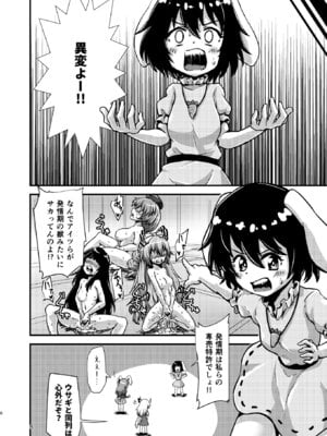 [ヒッツッツ (ひっつ)] 幻想郷エロ能力化異変12 人間を興奮させる程度の能力 (東方Project)_06