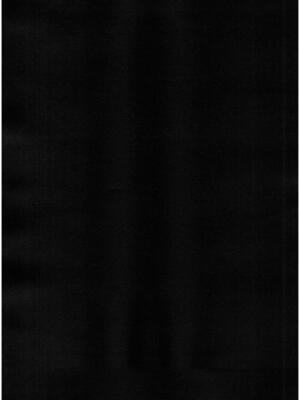 (FF45) [COMEX (珍緑)] 元魔法少女の家族話 月 [中国語] [無修正]_003