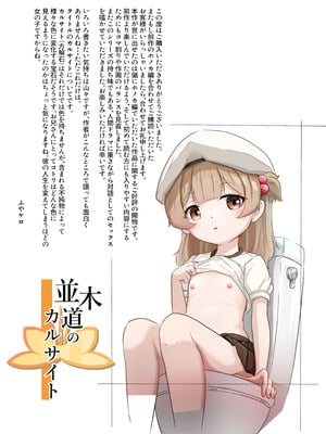 [卵黄堂 (ふやケロ)] 並木道のカルサイト_28_pcit