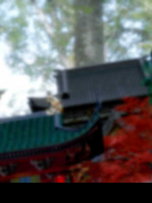 [Mr. Carrot]新版凌薇2.2_088