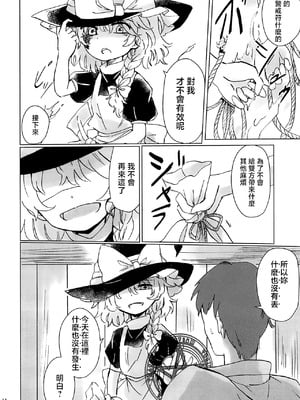 (例大祭16) [AM：TIGER (とらん)] 野魔法使いの泥棒稼業 (東方Project)｜野魔法使的小偷行當 [中国翻訳]_14_euif