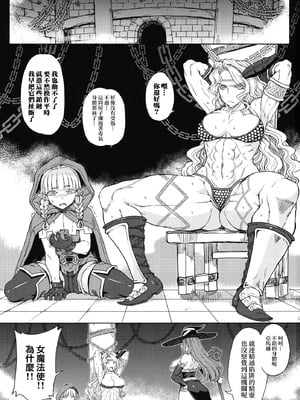 (C80) [超時空要塞カチューシャ (電気将軍)] GODDESS CROWN (ドラゴンズクラウン) [路过的骑士汉化组]_02