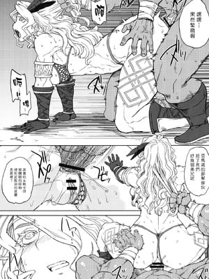 (C80) [超時空要塞カチューシャ (電気将軍)] GODDESS CROWN (ドラゴンズクラウン) [路过的骑士汉化组]_10