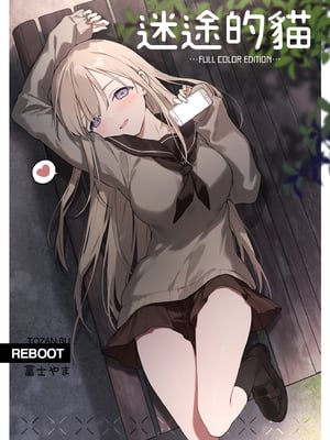 [TOZAN:BU (富士やま)] 迷い猫｜迷途的貓 [中文] [無修正]