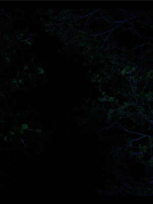 【ses21】新聊斋志异00-05_00152