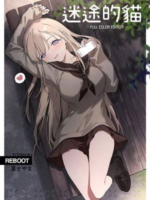 [TOZAN：BU (富士やま)] 迷い猫 -Full Color Edition-｜迷途的貓 -Full Color Edition- [買動漫] [無修正] [DL版]_02