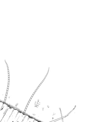 [Ryona's Station (YOSHITORA)]BRAIN EATER|ブレインイーターSTAGE 1~2[中国翻訳][粗碼][贝尔西行寺个人汉化、禁漫漢化組]_089