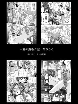 [浅野屋 (キッツ)] 乙女くノ一悶絶拷問地獄絵巻 淫乱モード其の弐「斑鳩・柳生・雲雀編」 (閃乱カグラ) [DL版] [廉价汉化组]_27