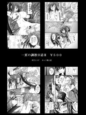 [浅野屋 (キッツ)] 乙女くノ一悶絶拷問地獄絵巻 淫乱モード其の弐「斑鳩・柳生・雲雀編」 (閃乱カグラ) [DL版] [廉价汉化组]_28