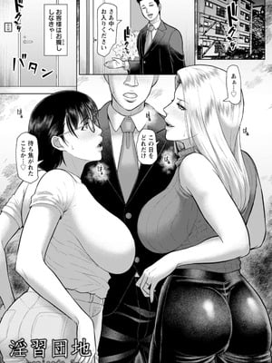 [ICE] 淫習団地 [DL版]_049