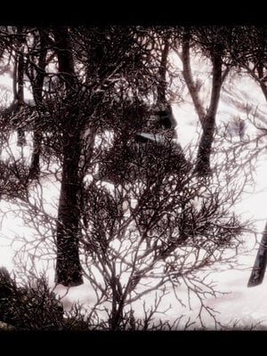 [lsmslkly]从零开始的噩梦生活02_002