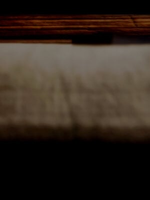 [lsmslkly]从零开始的噩梦生活02_147