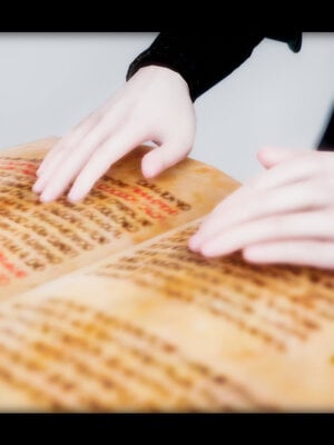 [lsmslkly]从零开始的噩梦生活02_240