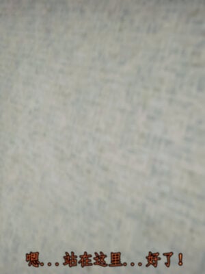 [lsmslkly]从零开始的噩梦生活03_031