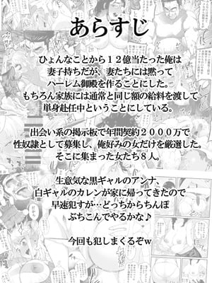[なのかH] 宝くじ12億!当選!〜エロに全投資して、ハーレム御殿建設!!3 [中国翻訳] [DL版]_02