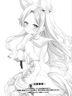 (C102) [猫耳少女 (倉科ゆづき)] 馬鹿先生は狐耳少女の予知夢を見ない (ブルーアーカイブ)_02