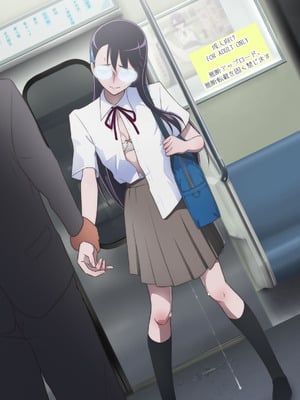 [書肆マガジンひとり (村々人)] 絶頂に耐える一輪の花 ～痴漢電車編～ (ハートキャッチプリキュア!)_09