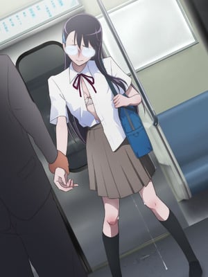 [書肆マガジンひとり (村々人)] 絶頂に耐える一輪の花 ～痴漢電車編～ (ハートキャッチプリキュア!)_17