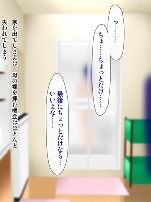 [子豚の館 (らら8)] 義母の排卵日～豊満すぎるデカ乳母と、脆弱すぎた僕の理性～_0018_GH_c01_0017