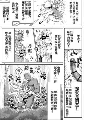 [世捨人な漫画描き (ともきとものり)] SEX最強妖精と妖精ハンターおじさん (東方Project) [DL版] [甜族星人x我不看本子汉化]_08