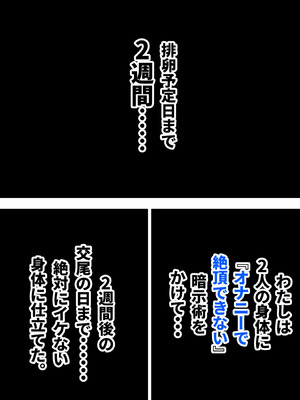 [ミケランジェロとピザ (ミケランジェロ13世)] 種付け御免!!3 ~手に入れた孕み妻2人とボテ腹ハーレムSEX～…の巻_046