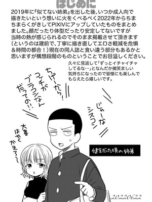 [轍のエビ (轍平)] 同棲してる姉と弟2タガが外れてヤリ部屋化 [DL版]_067