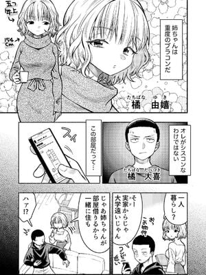 [轍のエビ (轍平)] 同棲してる姉と弟〜一線を越えた夜〜 [DL版]_03