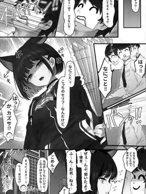 (C105) [よねや (俵太)] シュレディンガーの黒猫と3 猫と乙女と湯けむり事変 (ブルーアーカイブ)_20