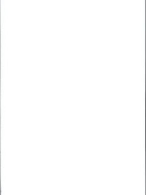 (C95) [犬とコタツ (七瀬瑞穂)] 脱法ヒヒイロカネ (グランブルーファンタジー)_02