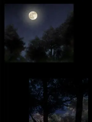 啪啪啪調教所 1-62話[完結]_2016015